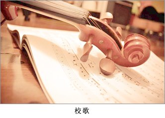 1657358684202995.jpg (1)少走形式
